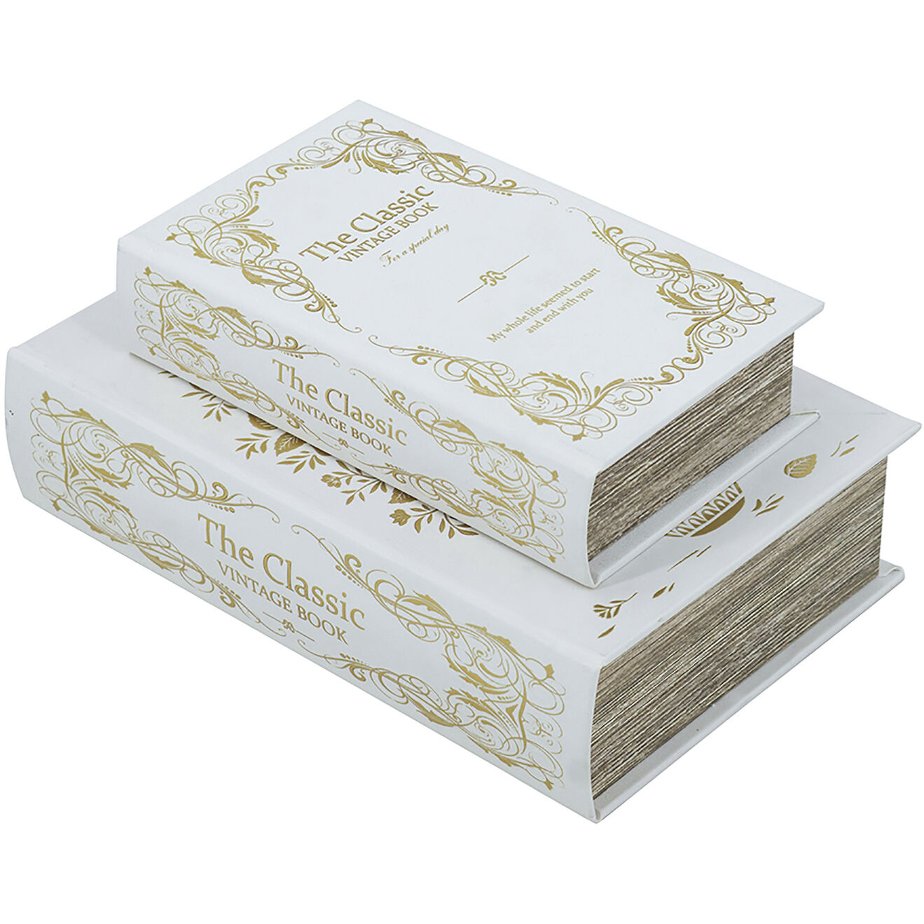 Anita White/Gold Book Boxes, Set of 2