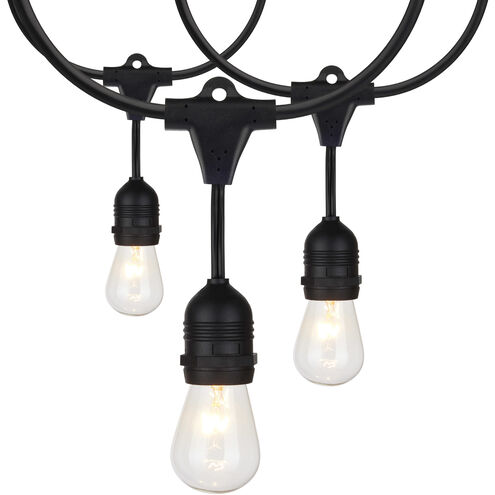 Lumos 12 Light 24 foot Black String Lights