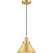 Franklin Restoration Briarcliff 1 Light 10 inch Satin Gold Mini Pendant Ceiling Light