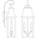 Orpington 2 Light 20 inch Antique Brass Outdoor Wall Mount in Clear