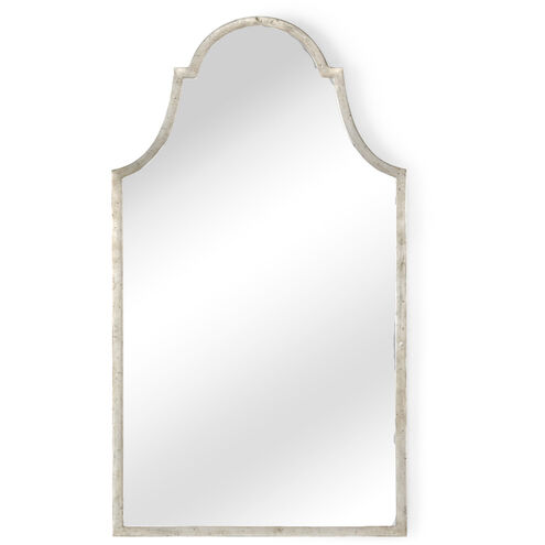 Lisa Kahn 50 X 28 inch Antique Silver/Antique Wall Mirror