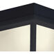 Wavy 1 Light 8 inch Black Outdoor Flush Mount