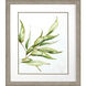 Willow Branch Green and Beige and Brown and Neutral Framed Art