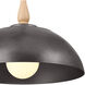 Homestead Fira 1 Light 18 inch Anvil Iron Pendant Ceiling Light, Fira