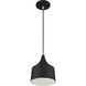 Bolita 8 inch Black with Brushed Nickel Accents Pendant Ceiling Light