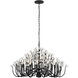 Wildflower 15 Light 40 inch Matte Black Chandelier Ceiling Light, Smithsonian Collaboration