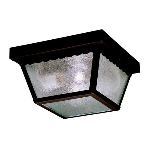 Outdoor Miscellaneous 2 Light 9.50 inch Outdoor Ceiling Light