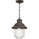Weldon 1 Light 10 inch Architectural Bronze Outdoor Hanging Lantern
