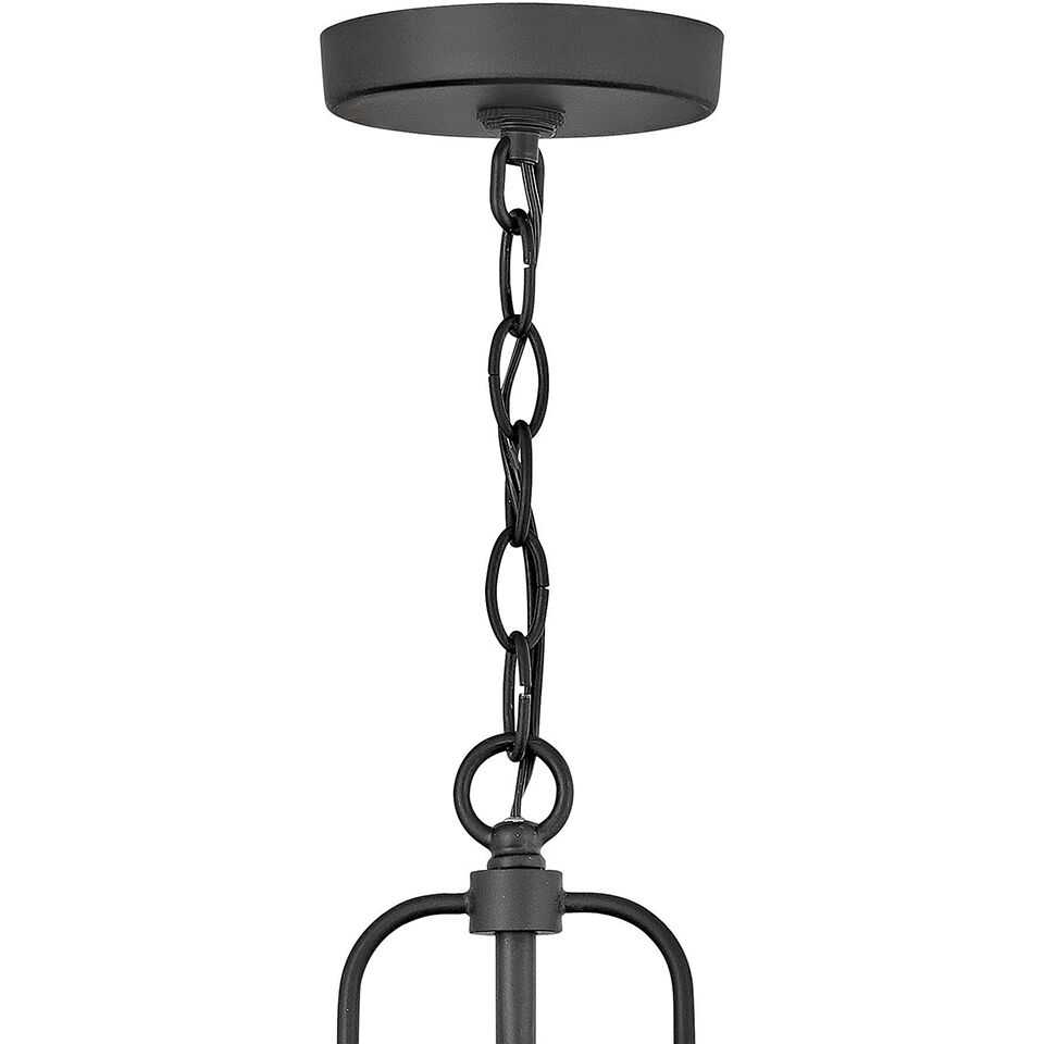 Estate Series Lakehouse LED 9 inch Black Outdoor Hanging Lantern, Low Voltage