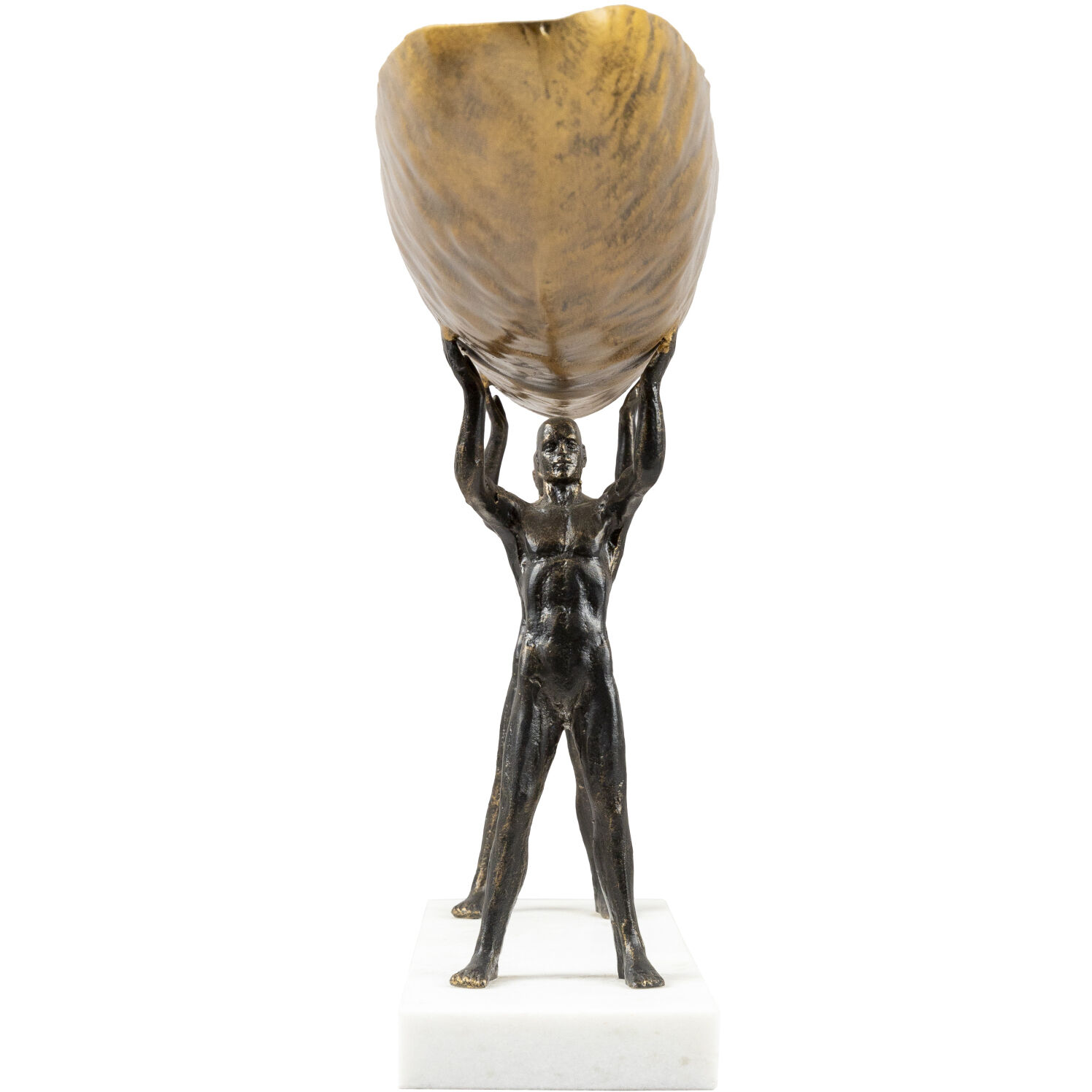 Homo sapiens 25 X 12 inch Decorative Bowl