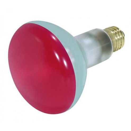 Lumos Incandescent BR30 Medium E26 75 watt 130V Light Bulb