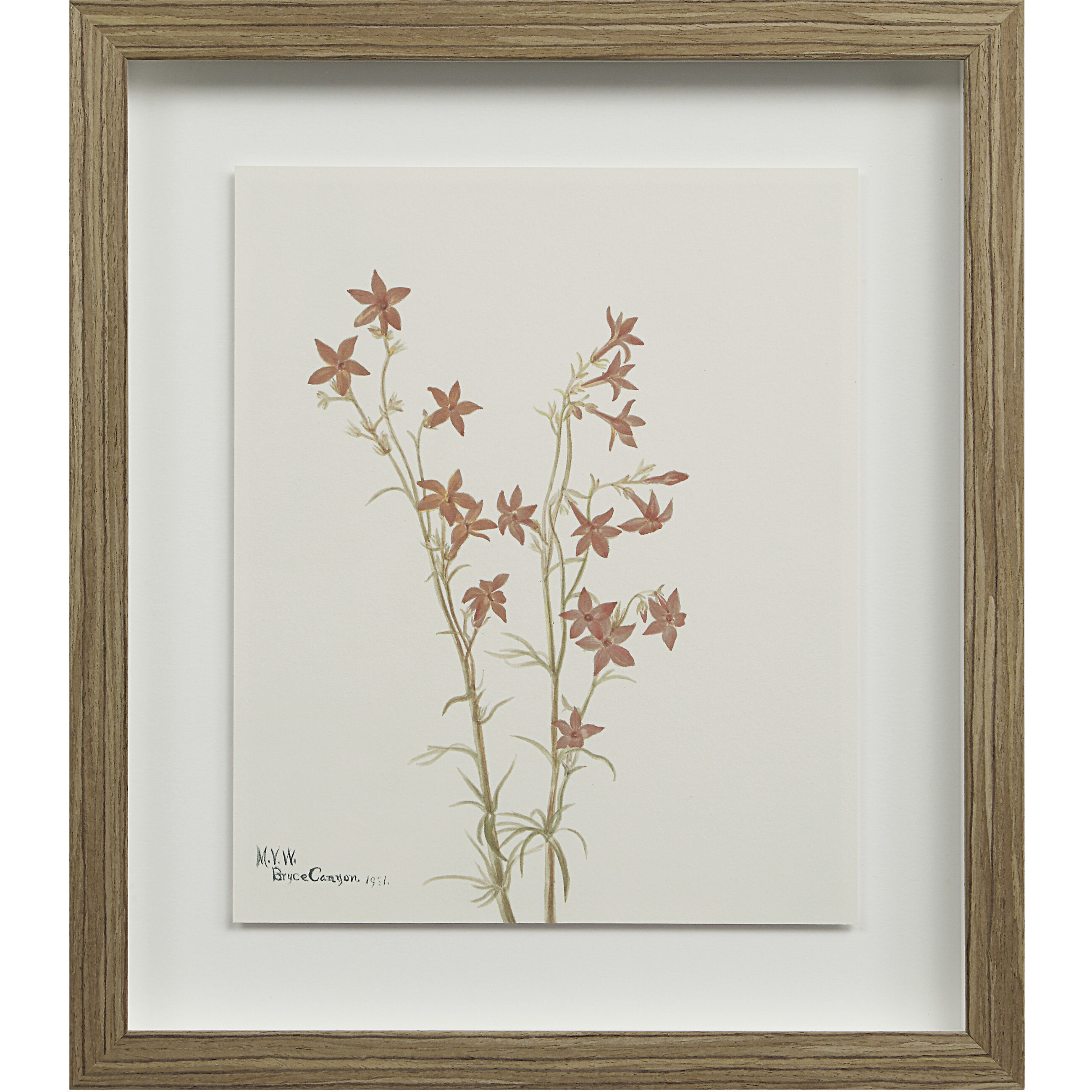 Crema 15 X 13.25 inch Printed Artworks, Set of 9