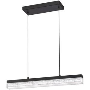 Black Ice LED 24 inch Black Pendant Ceiling Light