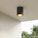 Cylinder 1 Light 5 inch Antique Bronze Outdoor Ceiling Mount Cylinder in Standard Lamping