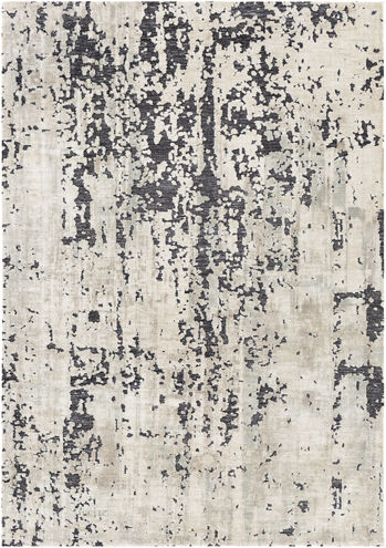 Talise 36 X 24 inch Charcoal Rug in 2 x 3, Rectangle