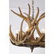Canada 6 Light 22 inch Natural Horn Chandelier Ceiling Light