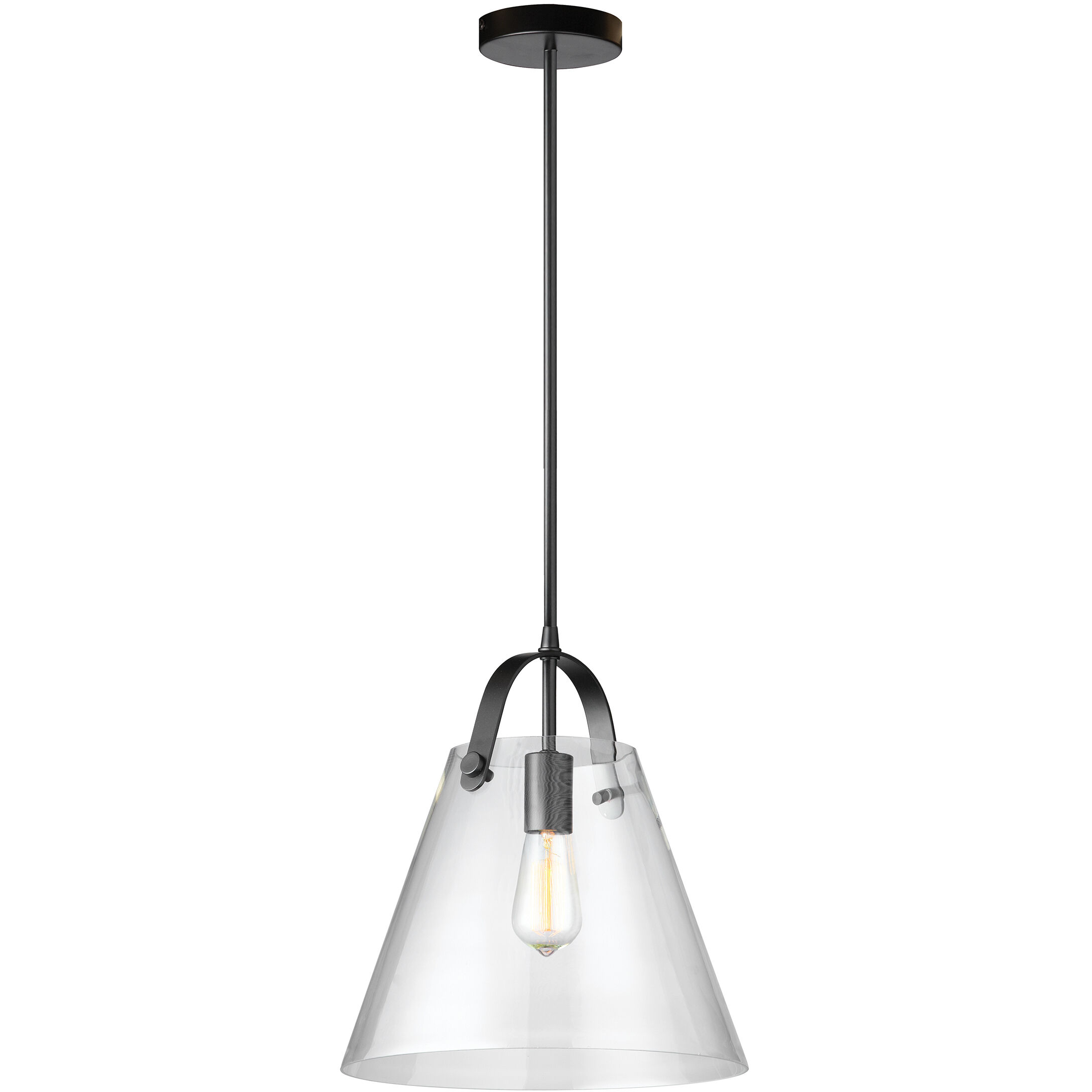 Polly 1 Light 12.75 inch Black Pendant Ceiling Light
