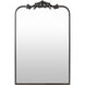 Aarlen 36 X 23.63 inch Antiqued Wall Mirror
