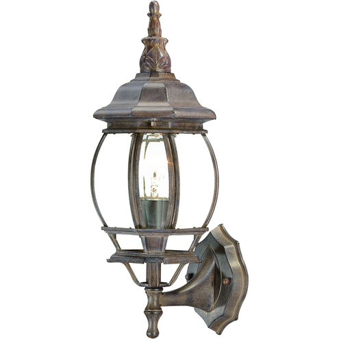 Chateau 1 Light 18 inch Burled Walnut Exterior Wall Mount