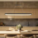 Eerie LED 47.25 inch Black Pendant Ceiling Light
