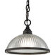 Liberty Park 1 Light 9 inch Oil Rubbed Bronze Mini Pendant Ceiling Light