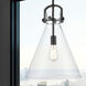 Downtown Urban Newton Cone 1 Light 14 inch Matte Black Pendant Ceiling Light in Clear