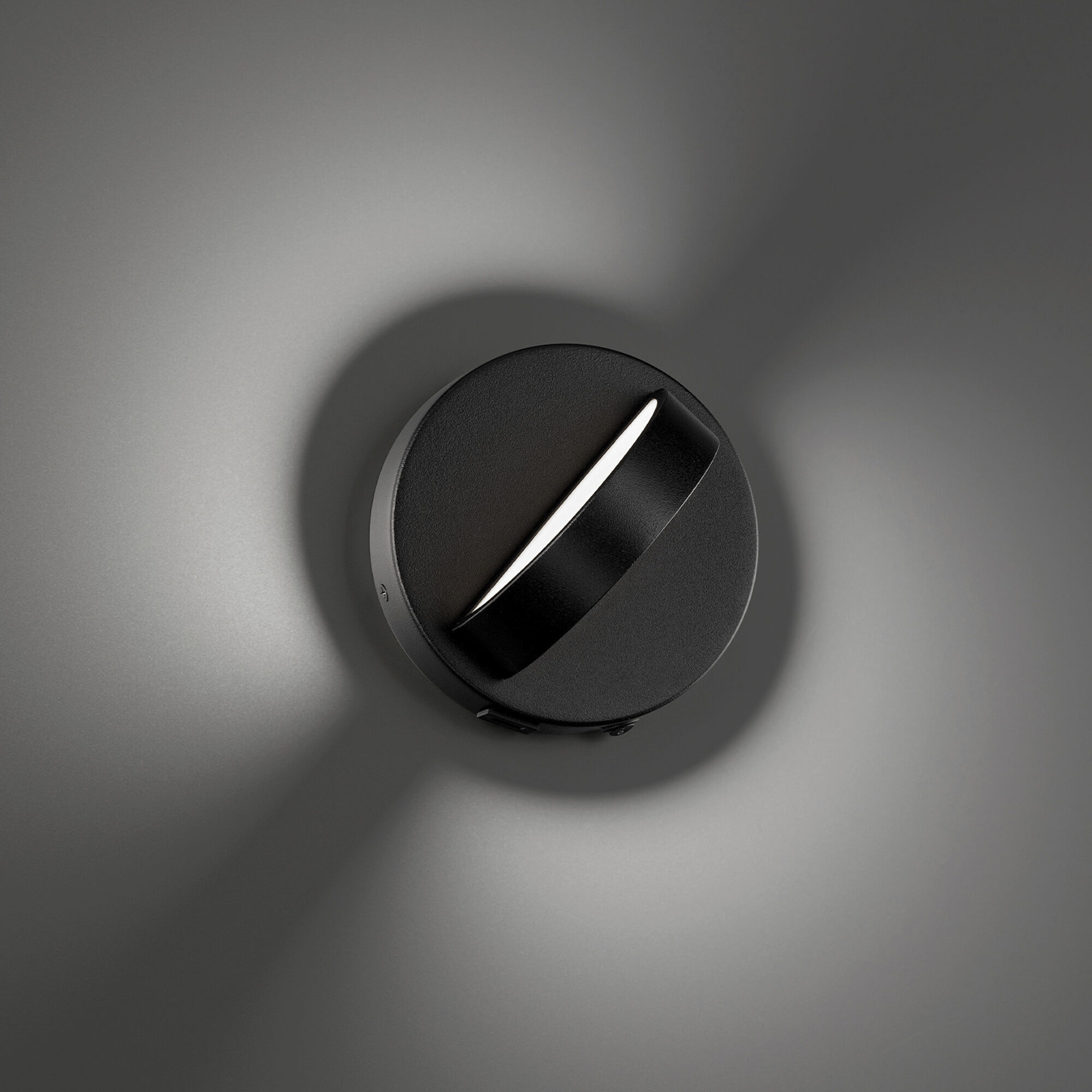 Wink Reading Light Wall Light in Black, dweLED