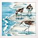 Animals Collection Blue Framed Art