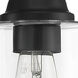 Neighborhood Dardyn 2 Light 13.38 inch Flat Black Vanity Light Wall Light in Clear Glass