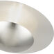 Ventura 2 Light 15 inch Brushed Nickel Semi-Flush/Wall Sconce Ceiling Light, Large