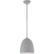 Arlington 1 Light 10 inch Nordic Gray with Brushed Nickel Accents Pendant Ceiling Light