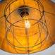 Dawson 16.25 inch Pendant Light Ceiling Light