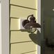 Harwich LED 8 inch Burnished Bronze Outdoor Wall