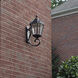 Royal LED 21 inch Brushed Bronze Outdoor Wall Sconce
