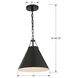 Xavier 1 Light 12 inch Matte Black Mini Pendant Ceiling Light