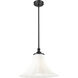 Fleur 1 Light 16 inch Matte Black Pendant Ceiling Light
