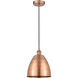 Edison Dome 1 Light 9 inch Antique Copper Mini Pendant Ceiling Light 