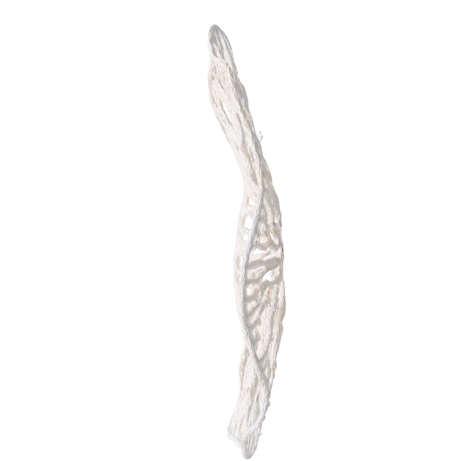 Leaf Patterned White Wall DTcor, Botanical