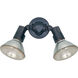 Flood Light 2 Light 11 inch Black Outdoor Wall Or Ceiling Flush Mount