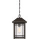 Cedar Point 1 Light 10 inch Palladian Bronze Outdoor Hanging Lantern