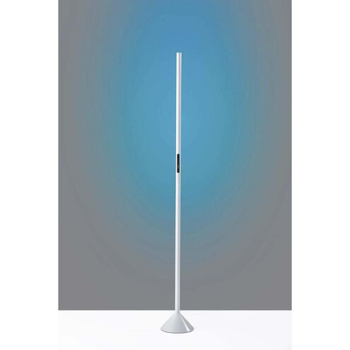 Cole 58 inch 12 watt Matte White Color Changing Wall Washer Floor Lamp Portable Light, Simplee Adesso