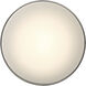 Mona 19.75 inch Matte black Flush Mount Ceiling Light