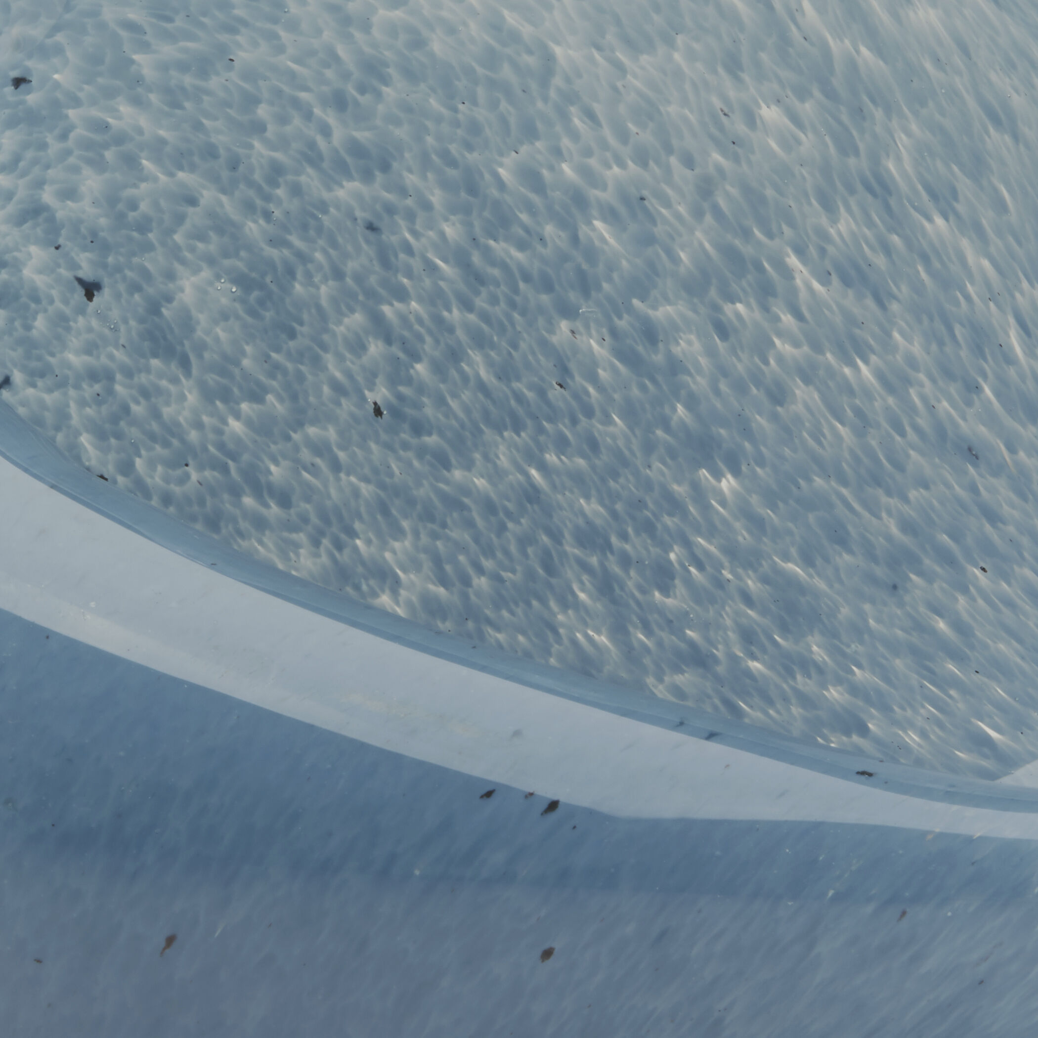 Triton Steel Blue Blown Glass Shell