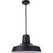 Briscoe 1 Light 18 inch Midnight Outdoor Pendant