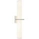 Rindlen Wall Sconce Wall Light in Chrome