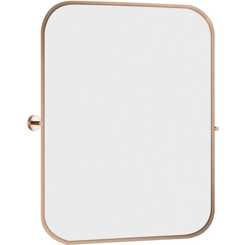 Cain 23 X 20 inch Gold Mirror
