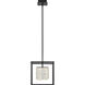 Dazzle LED 12 inch Matte Black Pendant Ceiling Light