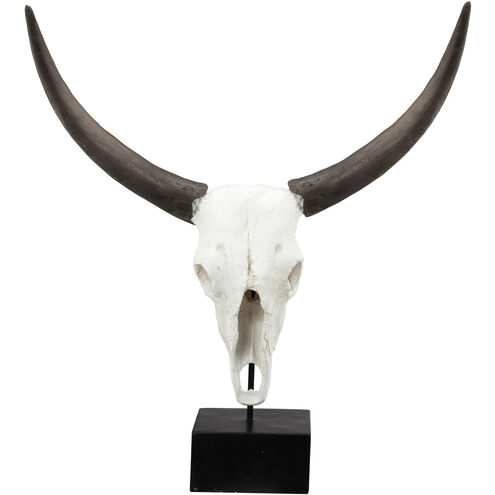 Cow Skull White Objects