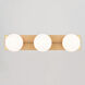 Parkview LED 24 inch Satin Brass Bathroom Light Wall Light