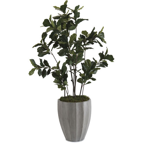 Fiddle Green Decorative Plant